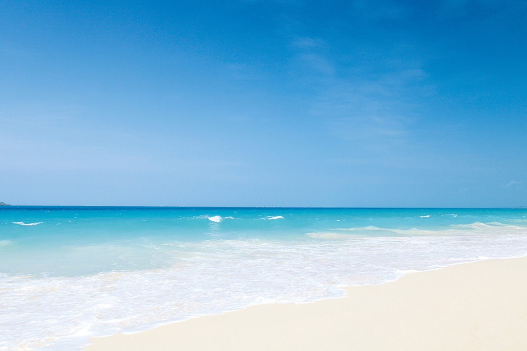 お問い合せ・アクセス